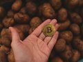 5 Hidden DeFi Yield Strategies Beyond Staking